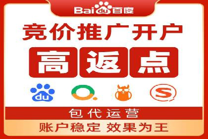 托管竞价sem案例分享：某电商平台的成功之路